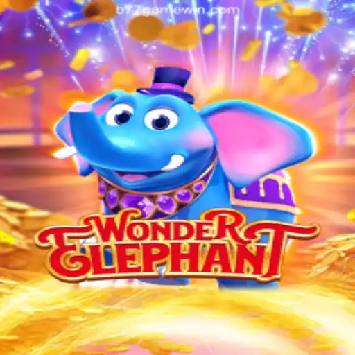 Explore the New Adventure with WonderElephant and Enjoy Exclusive Bonuses
